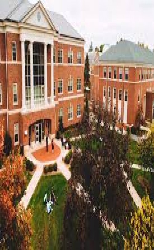 Susquehanna University